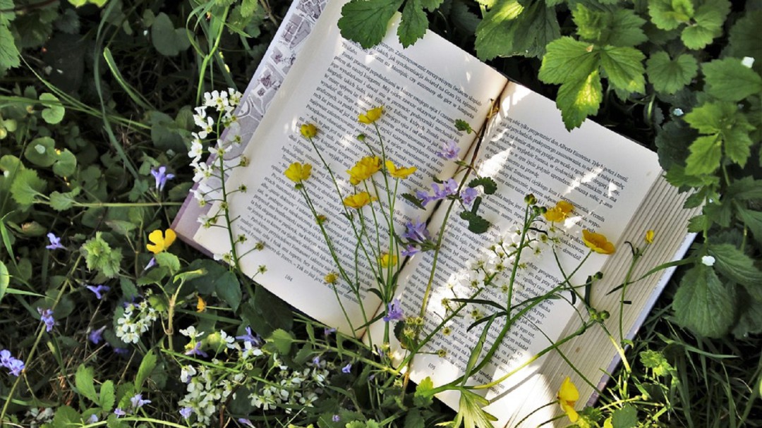'Mi pasión por escribir viene de mi pasión por leer'