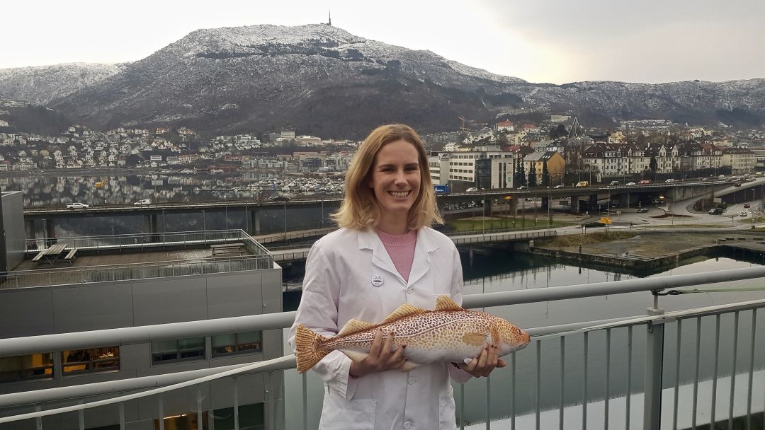 "Hago un doctorado sobre toxicología ambiental en Noruega" "Hago un doctorado sobre toxicología ambiental en Noruega"