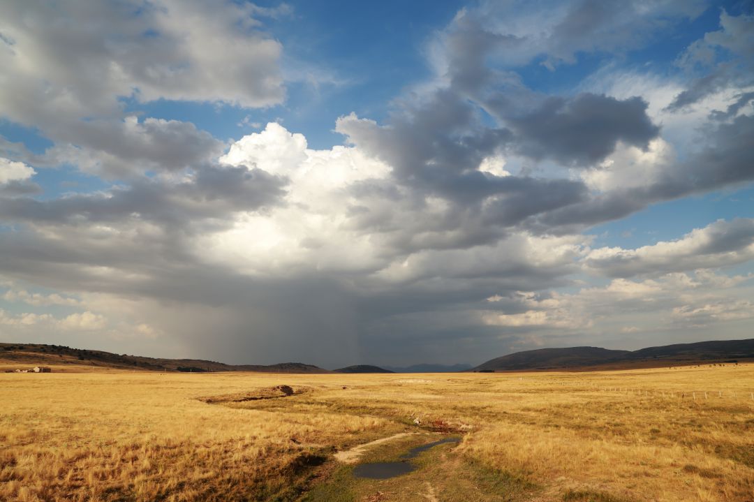 Imagen de Campo Azálvaro, uno de los espacios abulenses protegidos Imagen de Campo Azálvaro, uno de los espacios abulenses protegidos