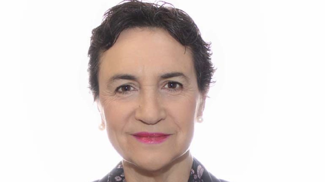 La castellonense María Inmaculada Pla, nueva directora general de Les Arts