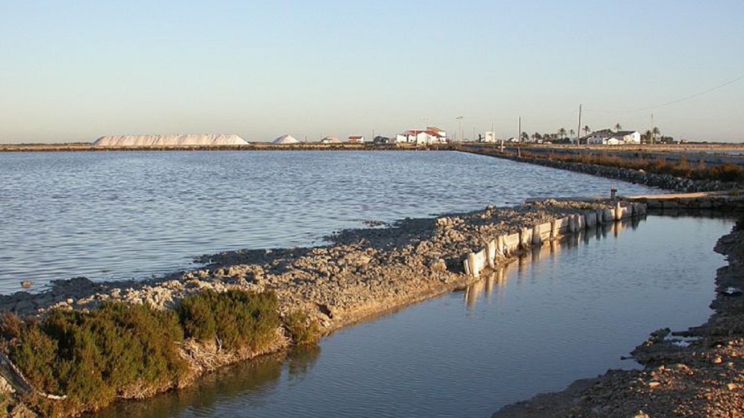 AHSA denuncia la degradación de las Salinas de Santa Pola por el vertido de basuras en la N-332