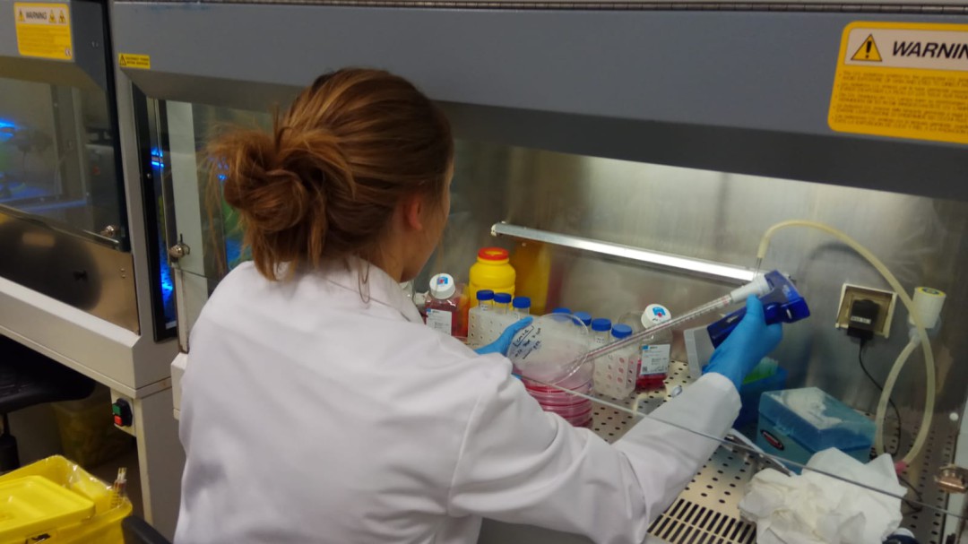 Cinco investigadores que desarrollan su trabajo en Euskadi entre los científicos más citados a nivel mundial
