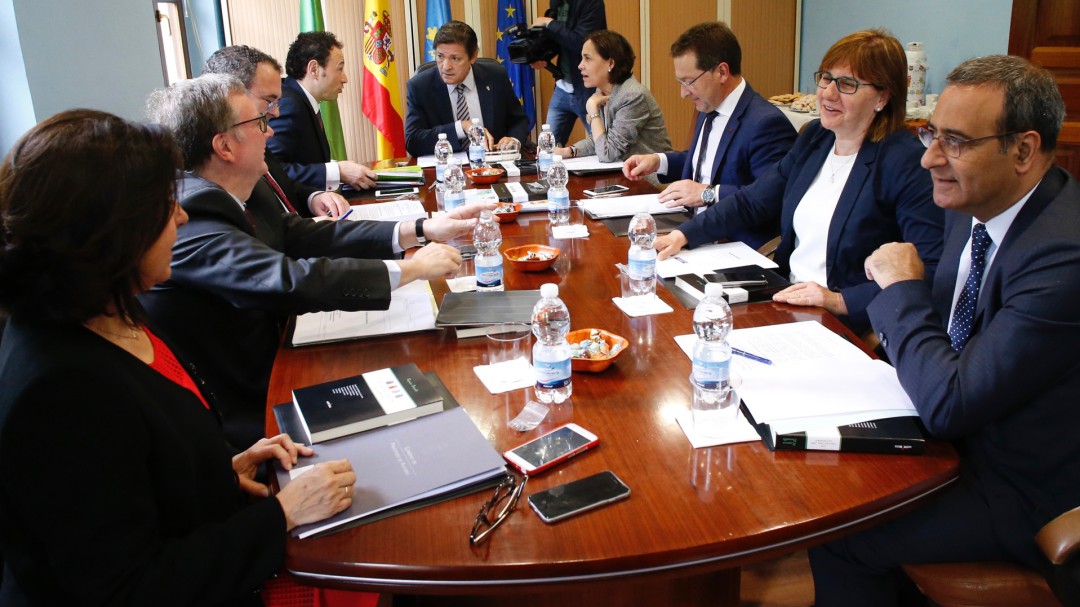 El Principado, "decepcionado" con el resultado de la subasta eléctrica para la industria asturiana