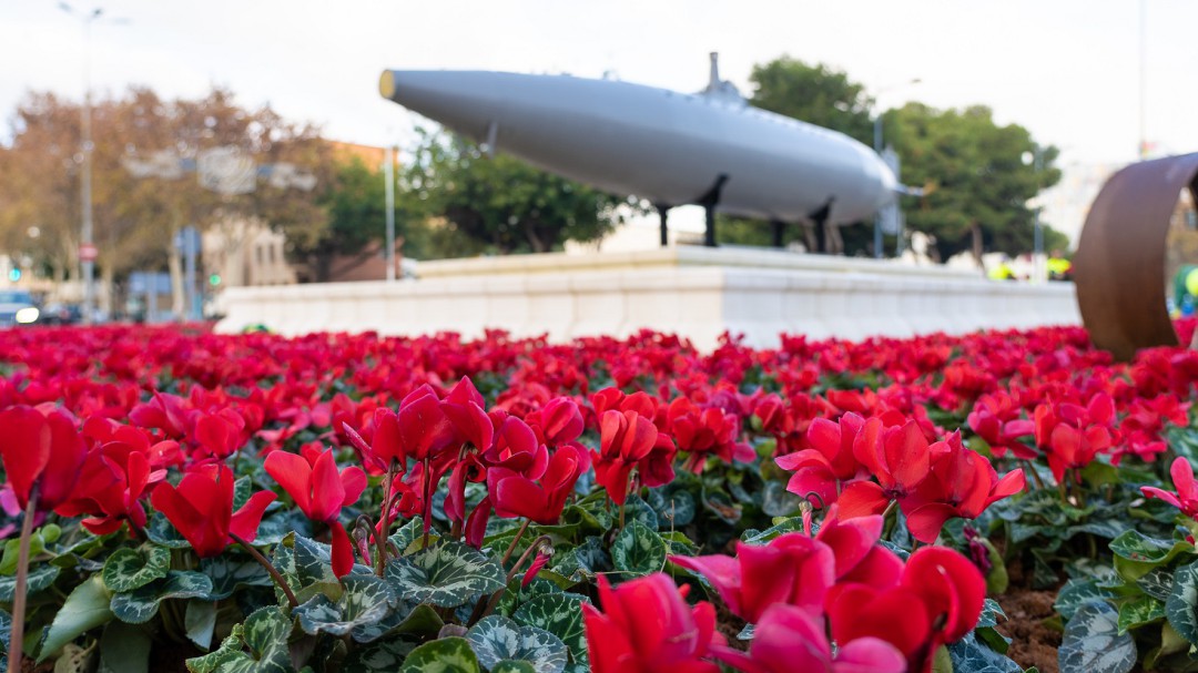 Cerca de 6.000 flores rojas dan color navideño a Cartagena