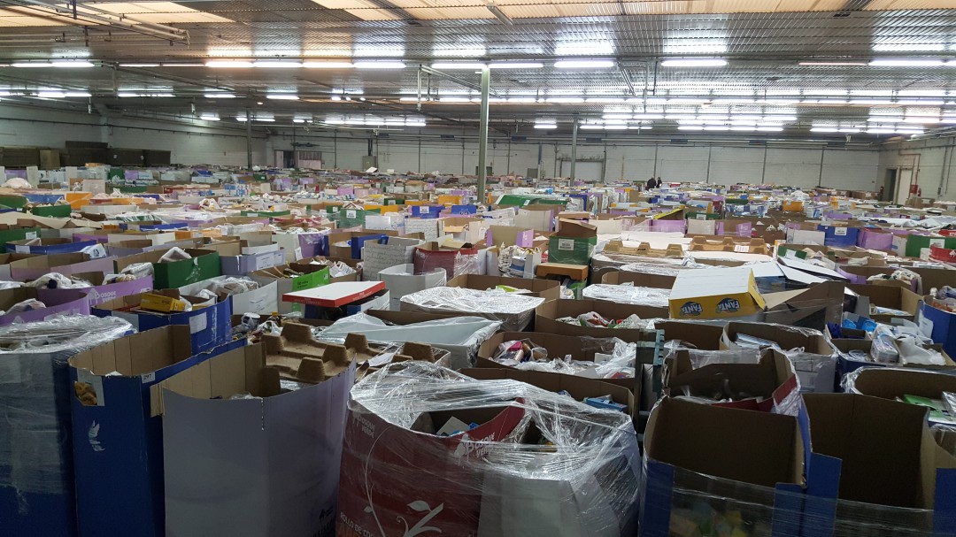 Voluntarios para clasificar toneladas de alimentos