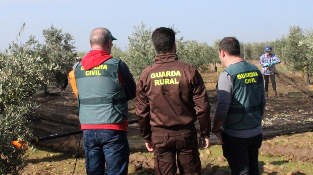 Se reducen en un 23% los robos y hurtos en el campo