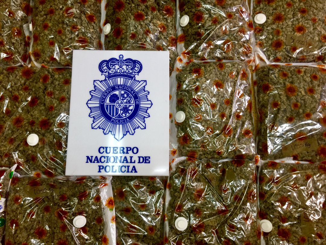 Los responsables de la plantación guardaban ya un alijo de más de 12 kilos listo para la venta. Los responsables de la plantación guardaban ya un alijo de más de 12 kilos listo para la venta.