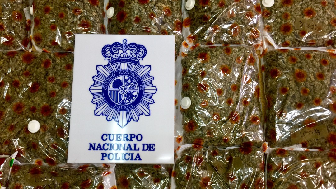 Desmantelada en Lugones una plantación de marihuana oculta en un chalet