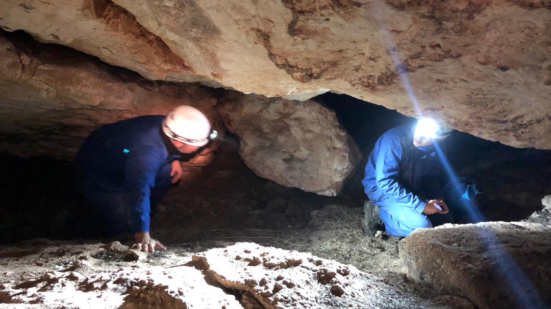 Restos humanos en una cueva