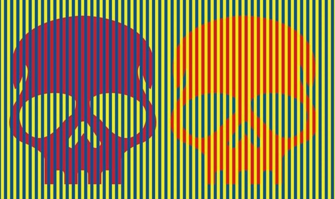 Las dos calaveras cambian de color gracias al efecto Munker. Las dos calaveras cambian de color gracias al efecto Munker.