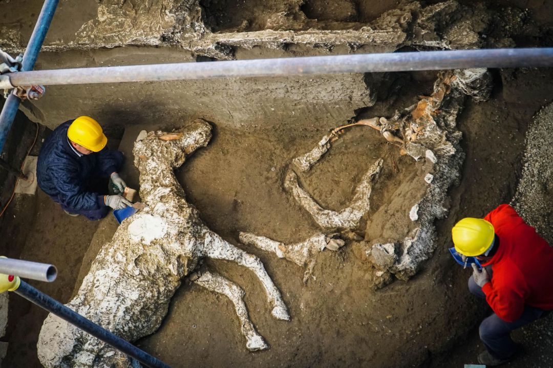 La excavación en Pompeya en la que han sido hallados los restos del caballo La excavación en Pompeya en la que han sido hallados los restos del caballo