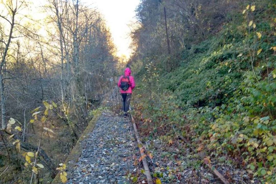 Unos quieren recuperar el uso del tren para turismo y otros convertir el trazado en una vía verde Unos quieren recuperar el uso del tren para turismo y otros convertir el trazado en una vía verde