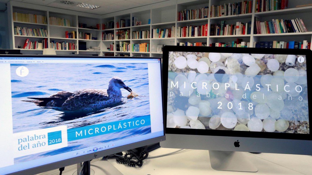 'Microplástico', elegida palabra del año 2018