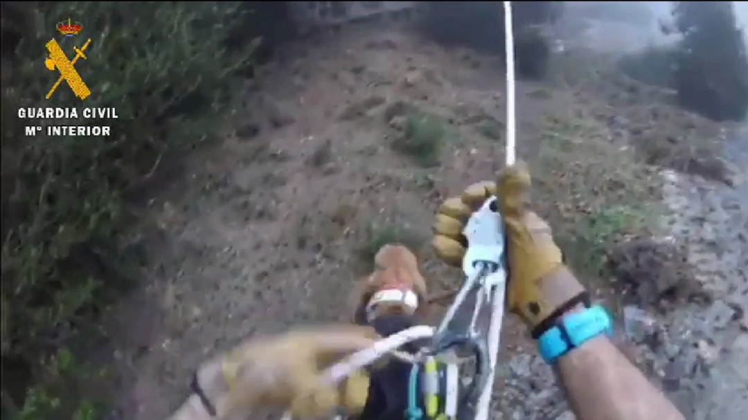 Así ha sido el rescate de un perro atrapado en un barranco durante 3 días