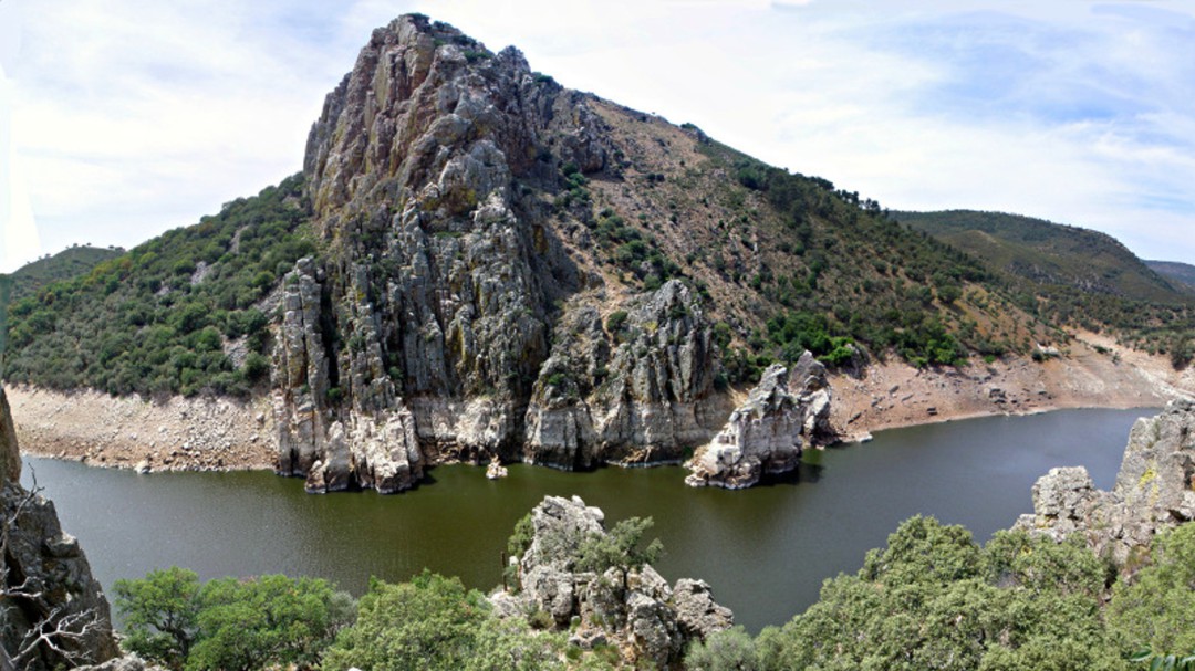 La Lotus y los perros en Monfragüe