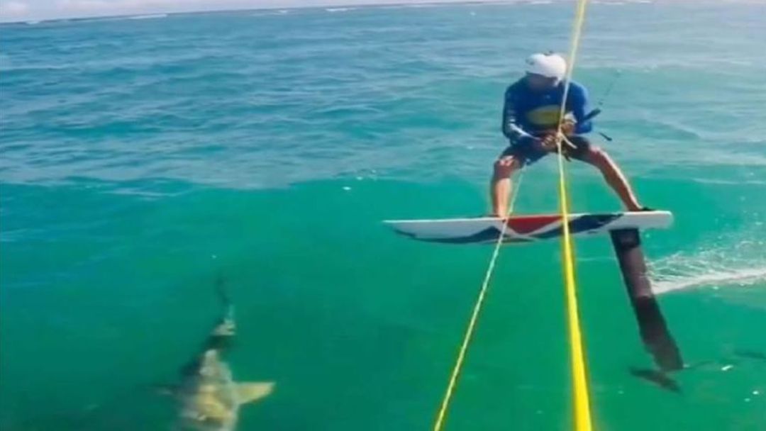 Momento previo al choque de Álex Soto con el tiburón Momento previo al choque de Álex Soto con el tiburón