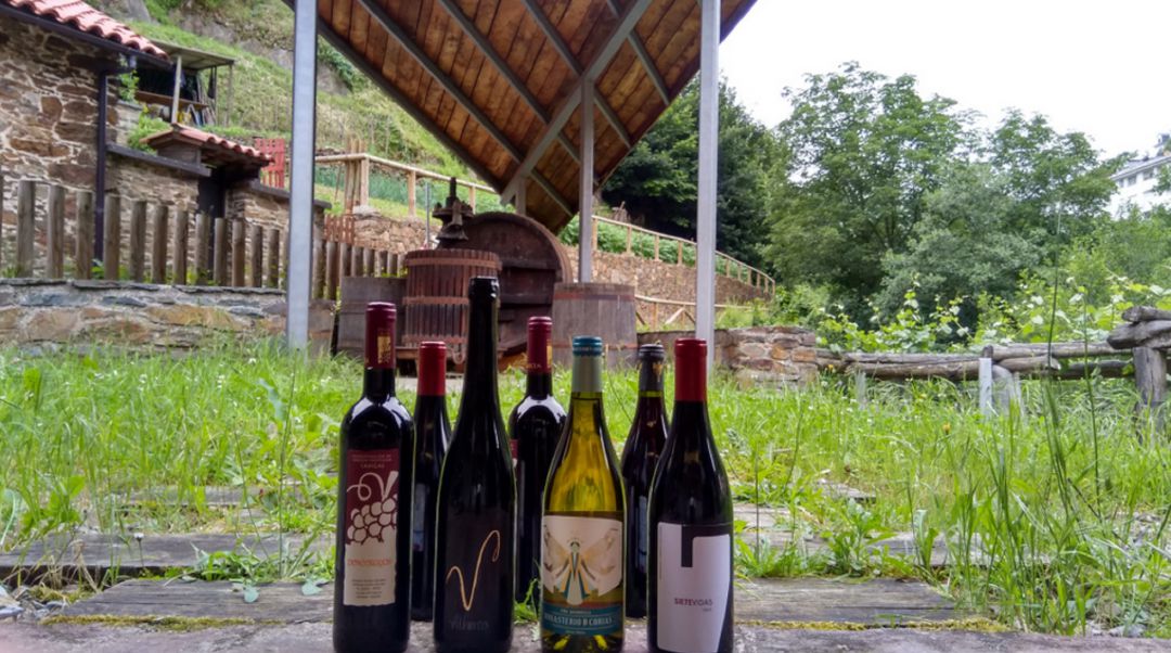 El Museo del Vino de Cangas es un buen lugar para comenzar nuestra inmersión en esta viticultura heróica El Museo del Vino de Cangas es un buen lugar para comenzar nuestra inmersión en esta viticultura heróica