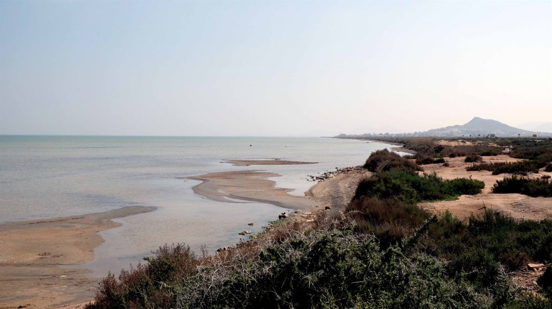 ¿Cómo hacer sostenible el Campo de Cartagena? ¿Cómo hacer sostenible el Campo de Cartagena?