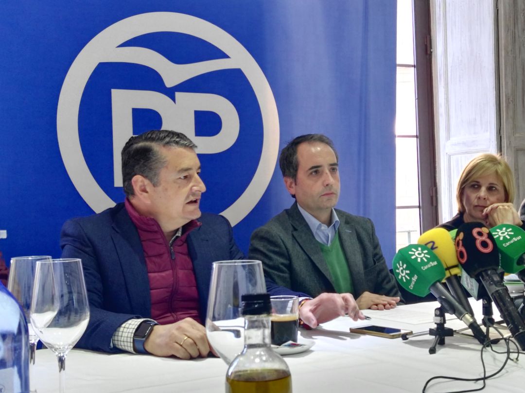 Antonio Sanz, Antonio Saldaña y María José García Pelayo durante la rueda de prensa de este miércoles Antonio Sanz, Antonio Saldaña y María José García Pelayo durante la rueda de prensa de este miércoles