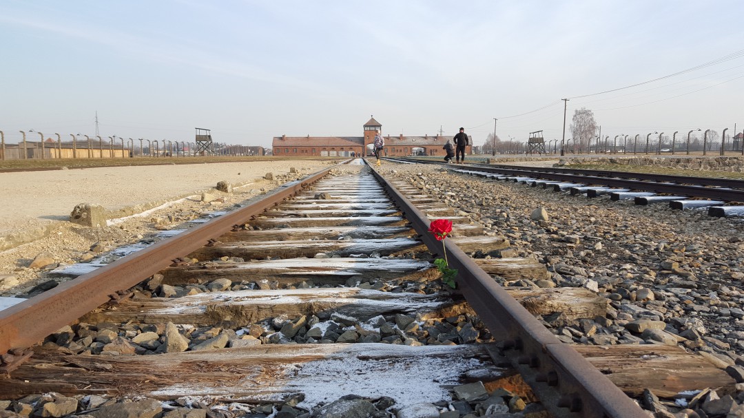 Holocausto: lo que muestran las cifras del genocidio nazi