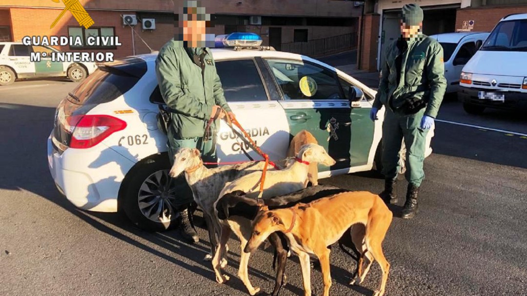 Nuevo golpe de la Guardia Civil al furtivismo