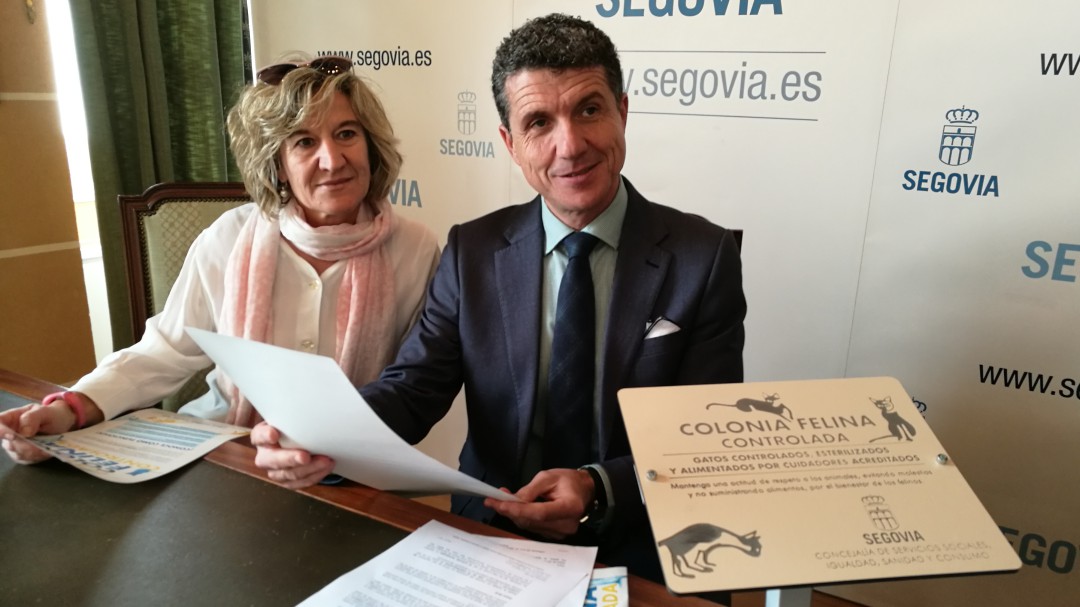 El Ayuntamiento condena los casos de envenenamientos de gatos y redoblará la vigilancia donde se han producido