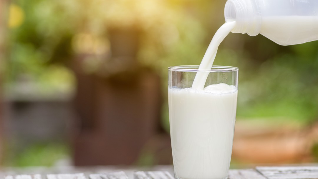 La leche sin lactosa lleva lactosa y la entera no está entera