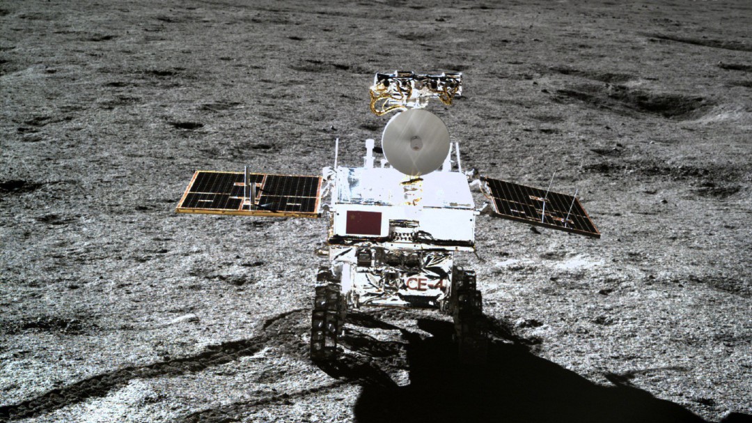 La primera semilla brota en la Luna