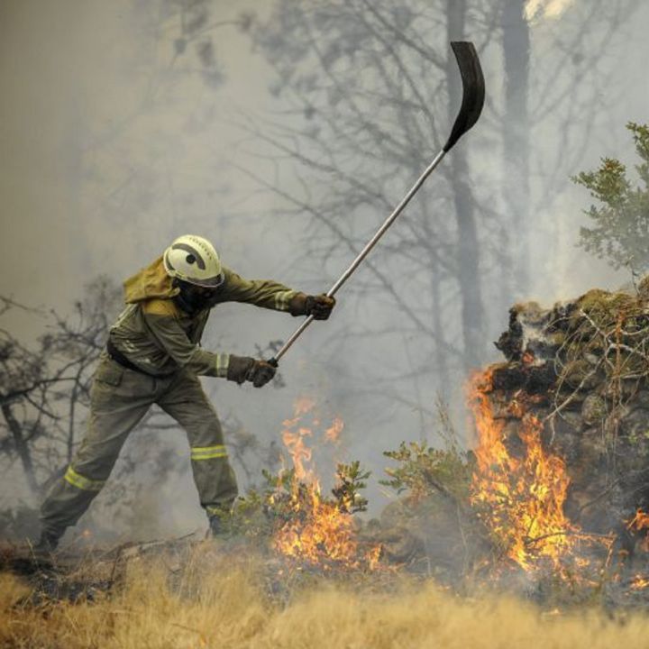 Un teléfono para denunciar a incendiarios de forma anónima