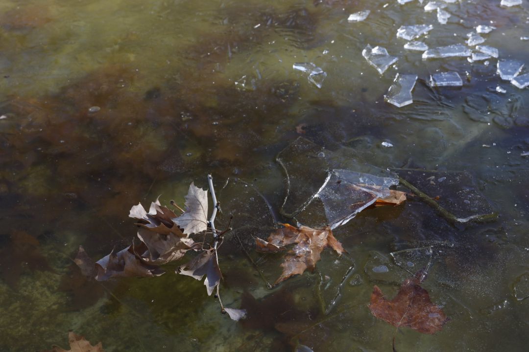 Verín registra la temperatura mínima, con -4,3ºC, en una jornada con la provincia de Ourense en aviso por frío Verín registra la temperatura mínima, con -4,3ºC, en una jornada con la provincia de Ourense en aviso por frío