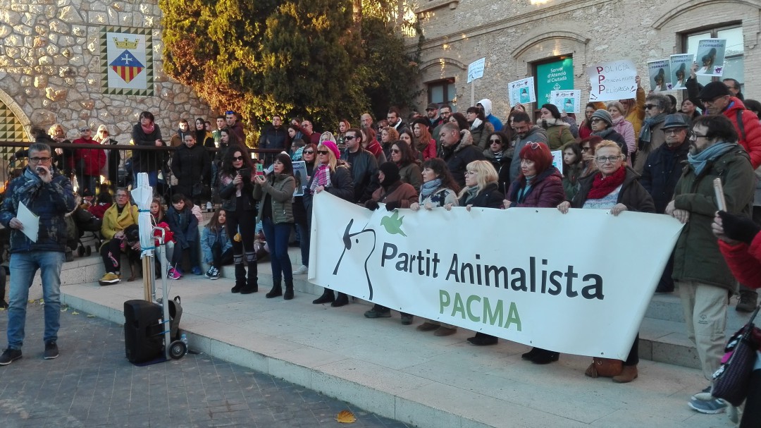 Entitats animalistes porten als jutjats la mort del gos Sheitan