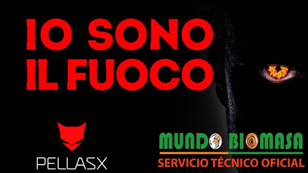 Mundo Biomasa, calor confortable y sostenible