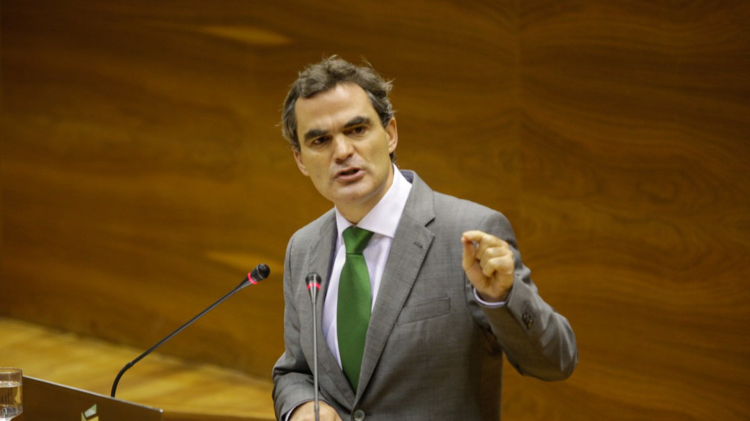 Garmendia (PSN): "El trato de Ayerdi a Davalor es un agravio para otras empresas"