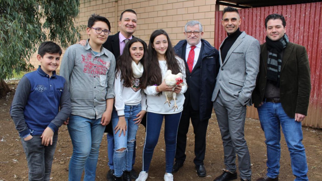 Cooperativa de gallinas para financiar las extraescolares