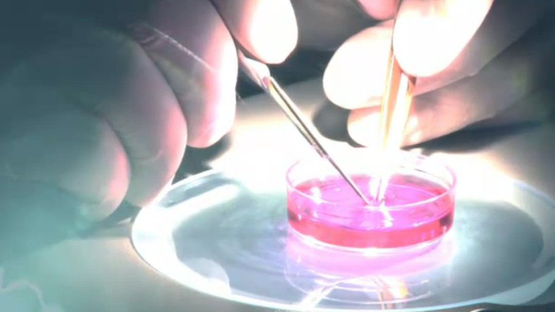 La UMH dedica un seminario a la genómica y a la bioinformática en el cáncer