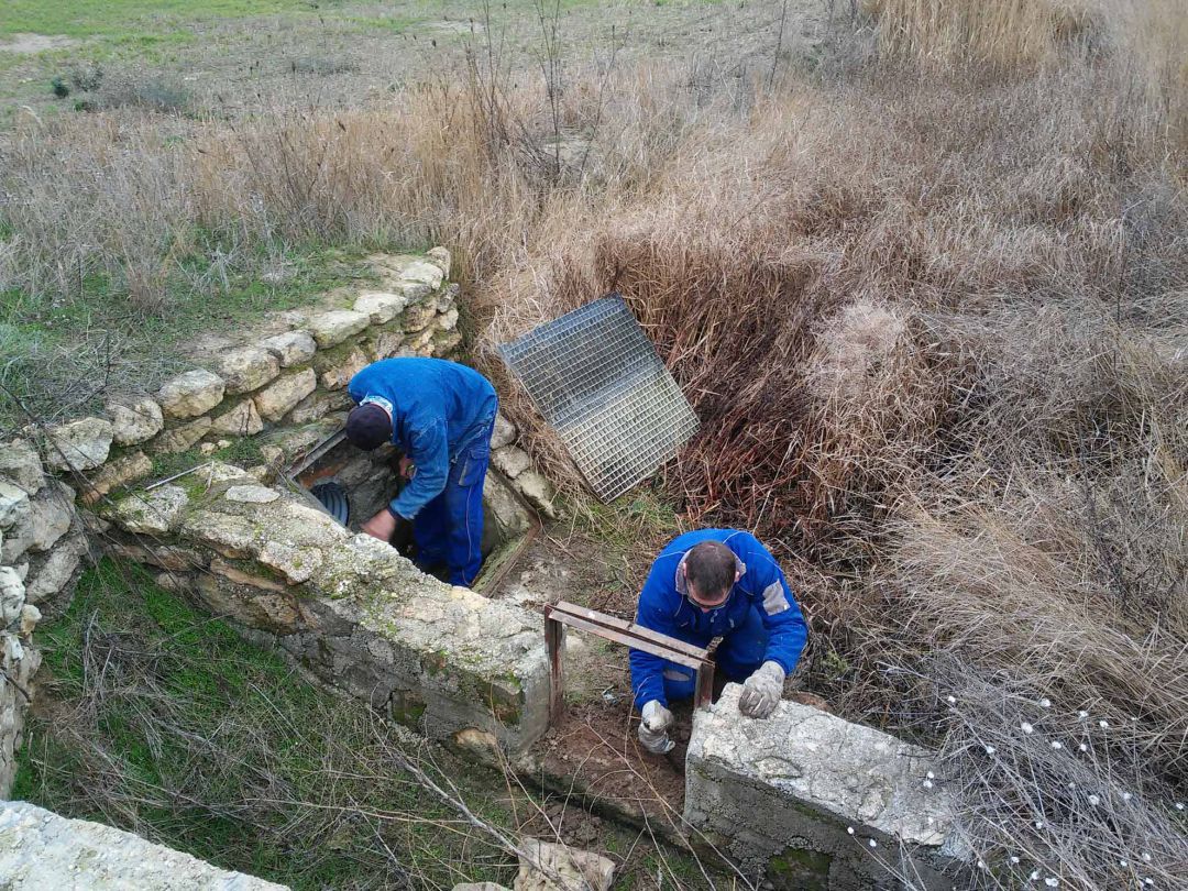 Finaliza la restauración ambiental de La Laguna de Pedraza de Campos Finaliza la restauración ambiental de La Laguna de Pedraza de Campos
