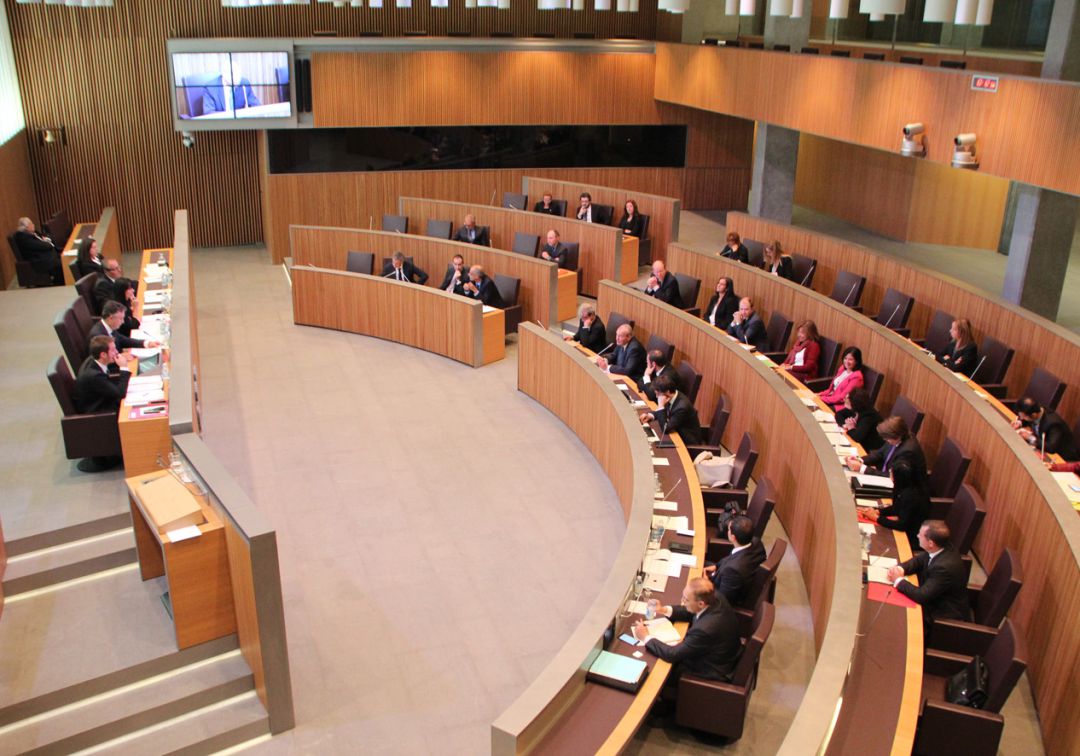 Tira endavant la Llei de la funció pública amb els únics vots de DA
