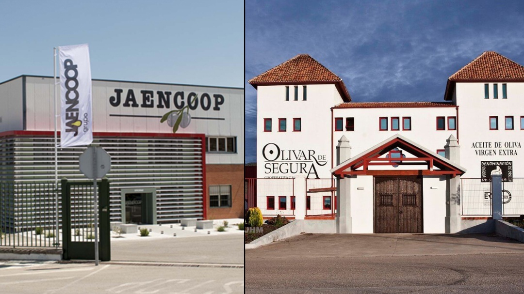 Jaencoop y Olivar de Segura se fusionan creando un gigante jiennense