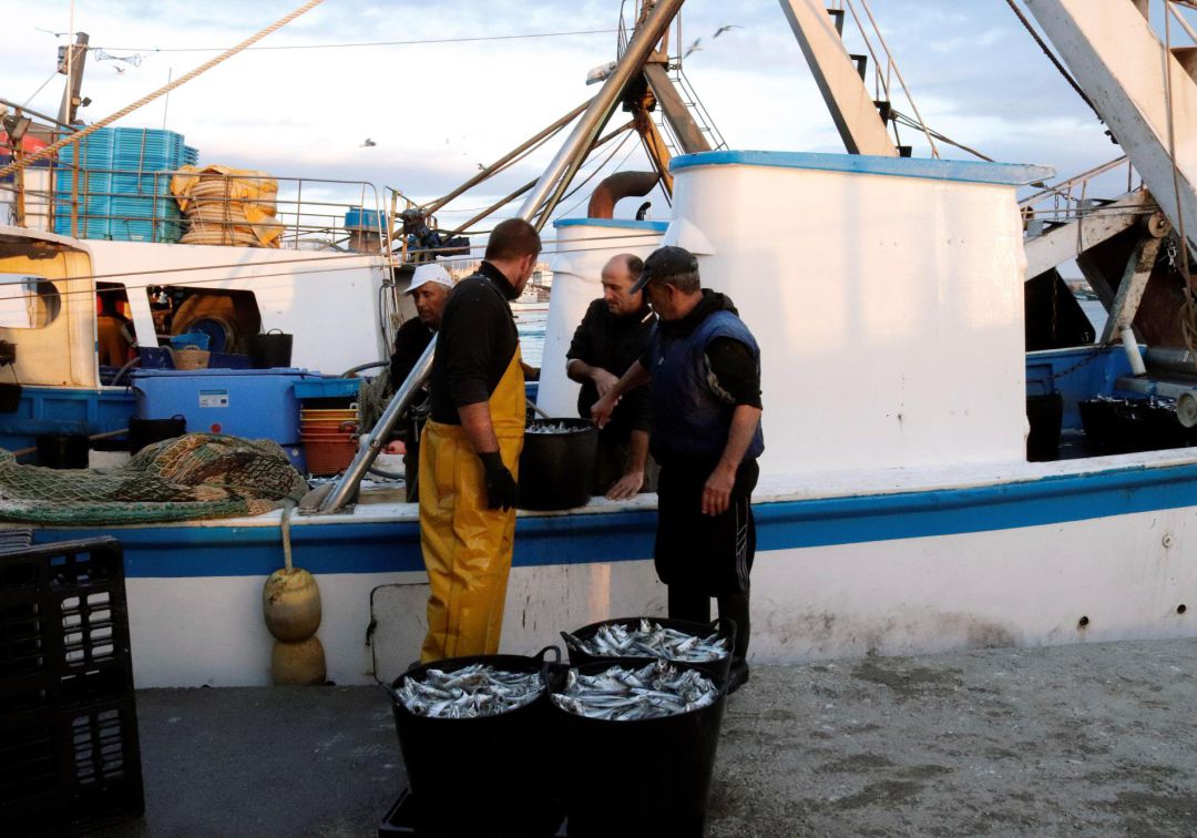 ¿Cómo salvamos nuestros mares?