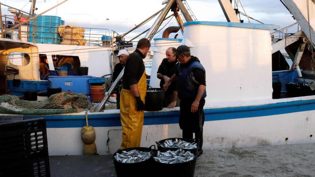 ¿Cómo salvamos nuestros mares?