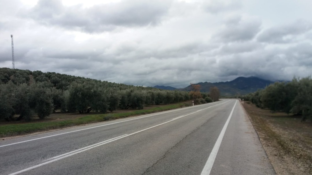 La A 401 se cobra una nueva víctima