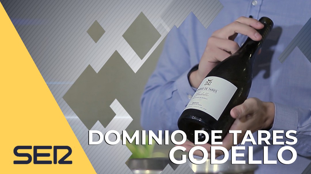 Dominio de Tares Godello: un blanco con barrica, estructurado y equilibrado