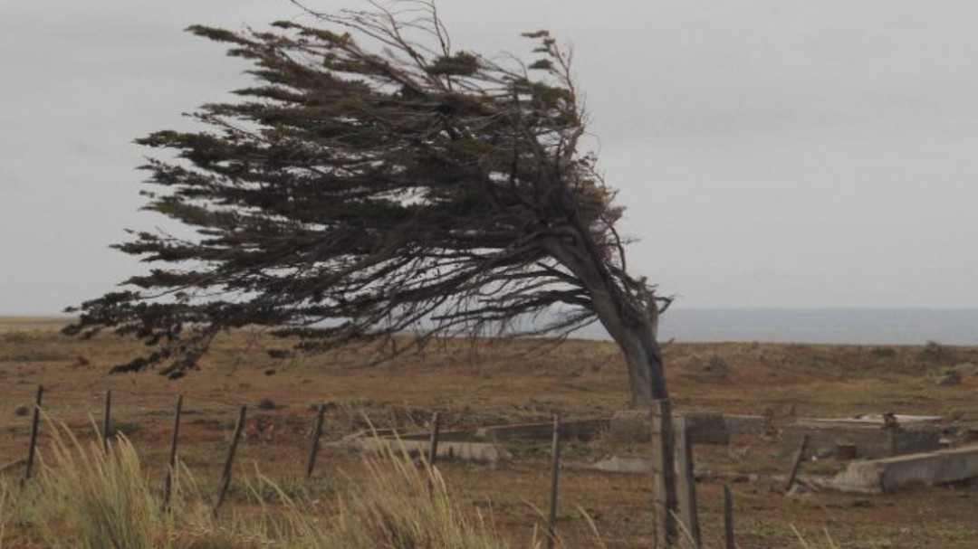 Albacete, en alerta por viento