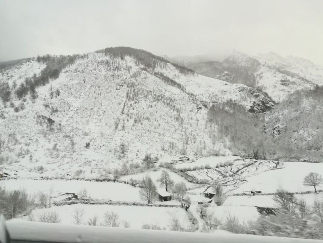 Nieve en la zona central de Asturias. Nieve en la zona central de Asturias.