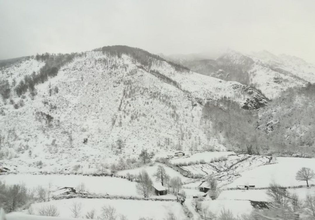 Nieve a partir de 900 metros con espesores de hasta 35 centímetros en cordillera y Picos, 15 en el suroccidente y 7 en zona central y valles mineros