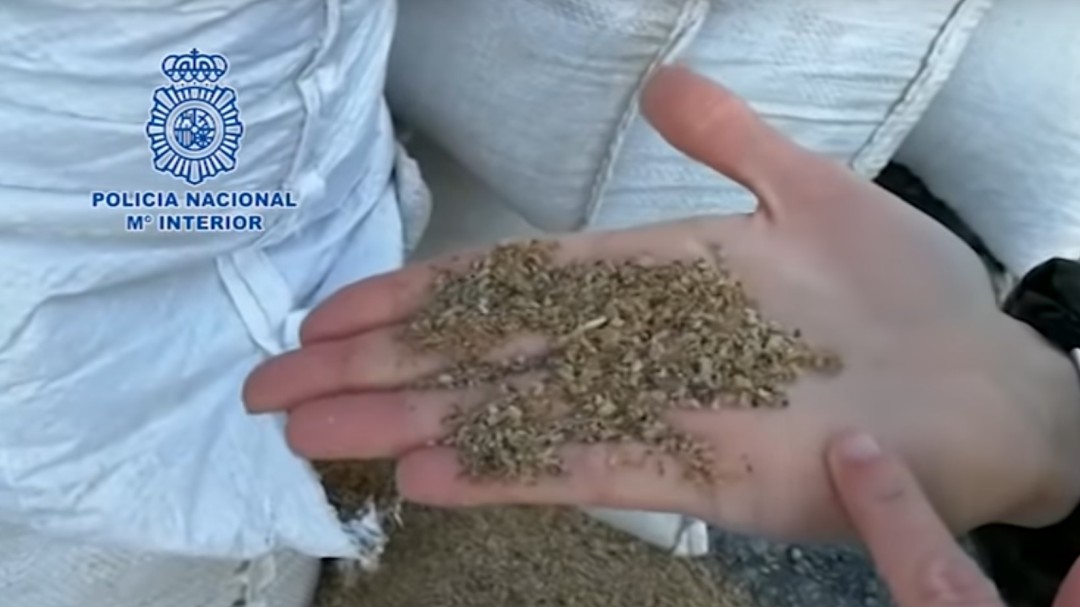 Más de 3 toneladas de cocaína camuflada en harina