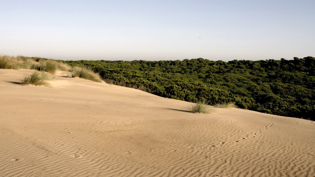 Huelva rozó el millón de turistas en 2018 tras una leve pérdida de viajeros y pernoctaciones