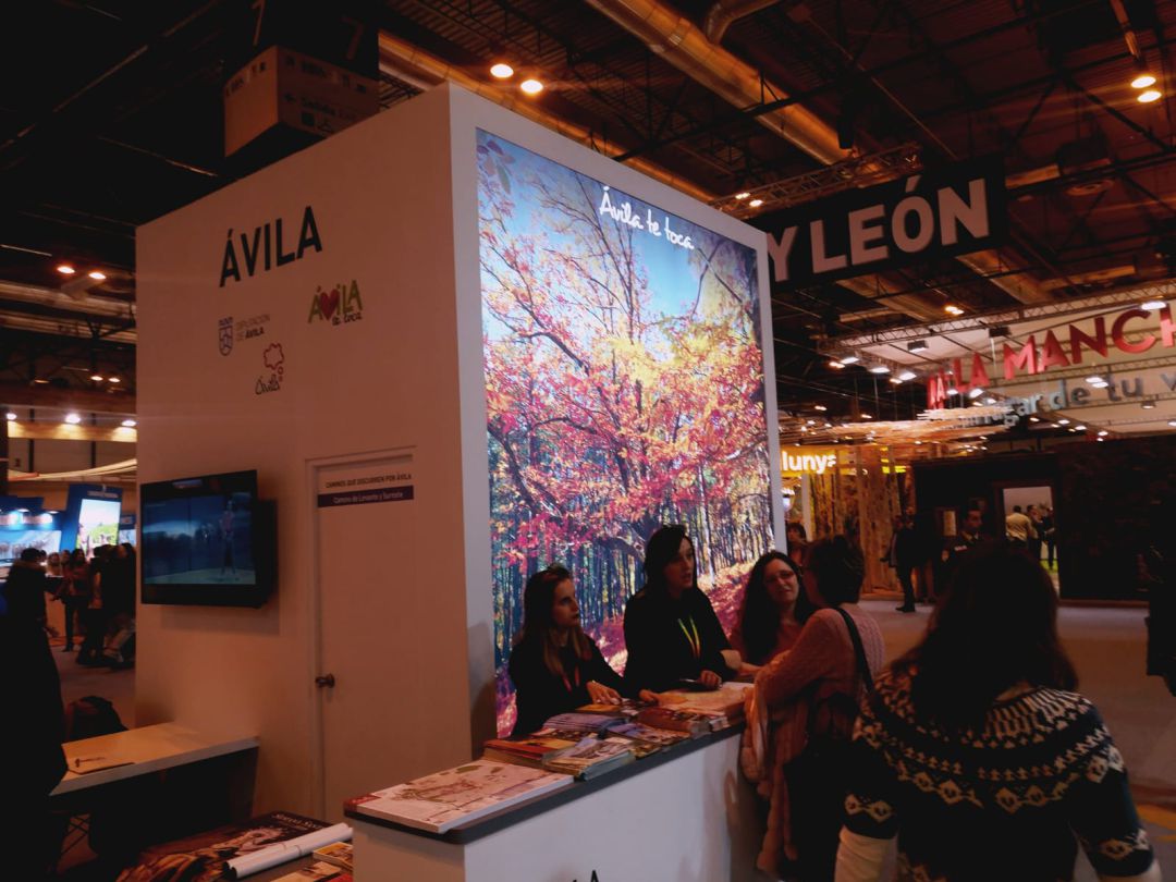 Espacio promocional de la Diputación de Ávila en Fitur Espacio promocional de la Diputación de Ávila en Fitur