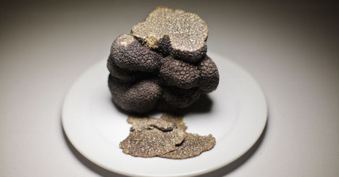Varios cocineros con Estrella Michelin participan en el I Foro de Truficultura de Salvacañete. Varios cocineros con Estrella Michelin participan en el I Foro de Truficultura de Salvacañete.