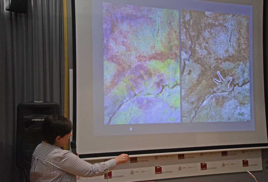 Técnicos del Museo de Altamira han identificado tres nuevas improntas de manos en la Sala de Polícromos de la cueva, anteriores a los bisontes.
Técnicos del Museo de Altamira han identificado tres nuevas improntas de manos en la Sala de Polícromos de la cueva, anteriores a los bisontes.